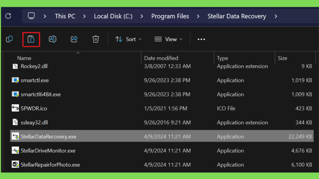 Download Stellar Data Recovery Crackeado Professional Gratis Full Version PT