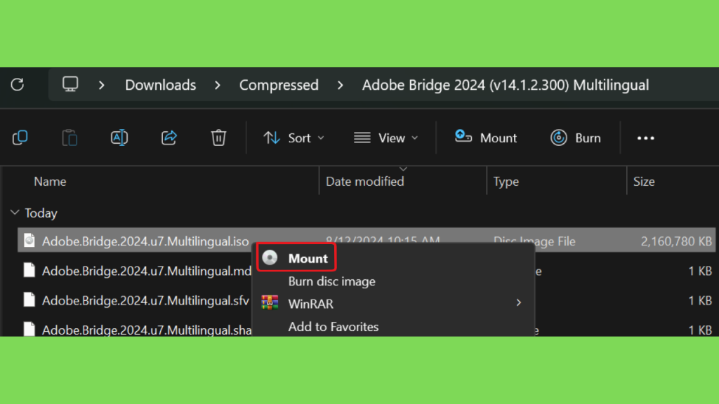 Download Adobe Bridge 2024 Crackeado Torrent Gratuito PT-BR Gratis Download - AtivadorRatonCrackeado Download Adobe Bridge 2024 Crackeado Torrent Gratuito PT-BR Full Version PT