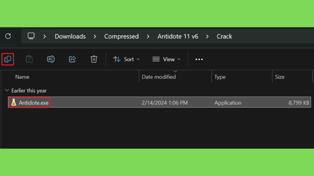 Download Antidote 11 Crackeado com Licença Gratis PT-BR Full Version PT