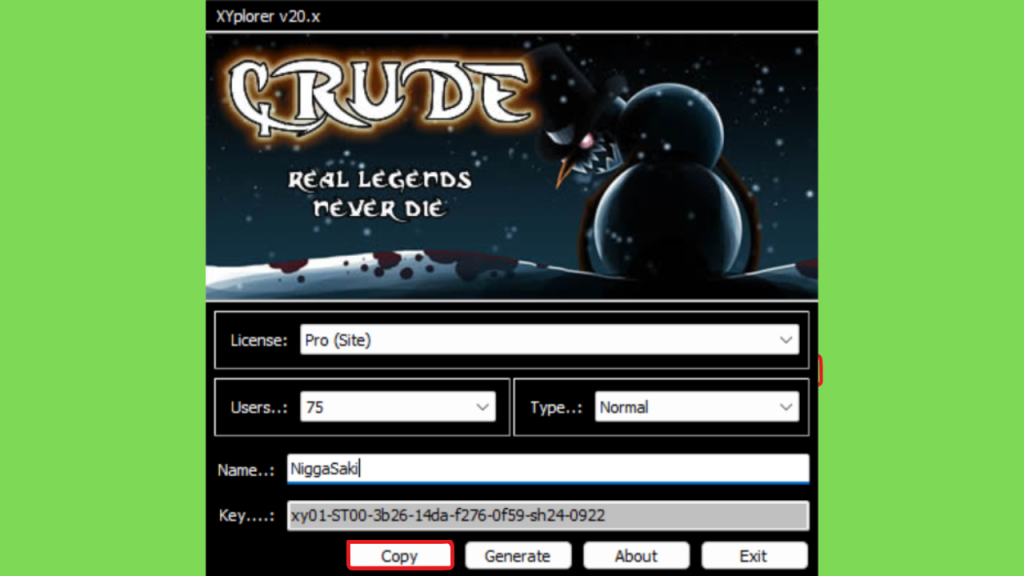 Download XYplorer 26 Crackeado com Keygen Completo Gratis Full Version PT