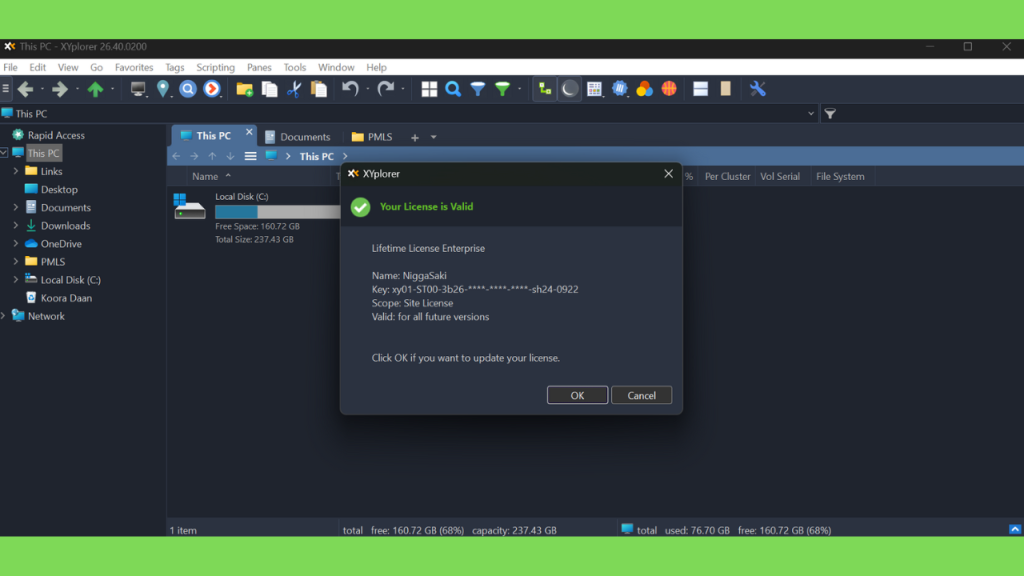 Download XYplorer 26 Crackeado com Keygen Completo Gratis Full Version PT