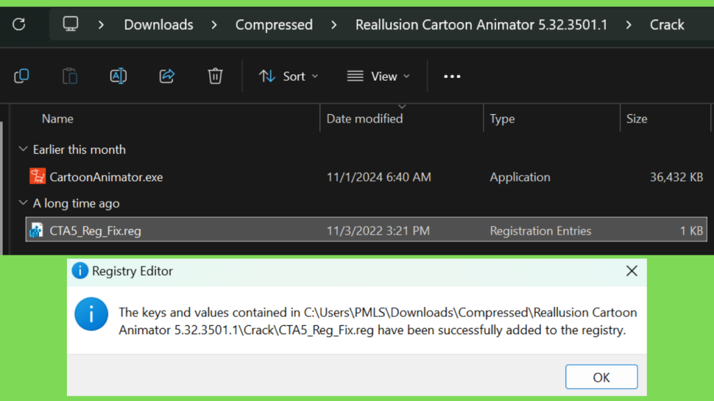 Download Reallusion Cartoon Animator 5 Crackeado 64 Bits Gratis Full Version PT