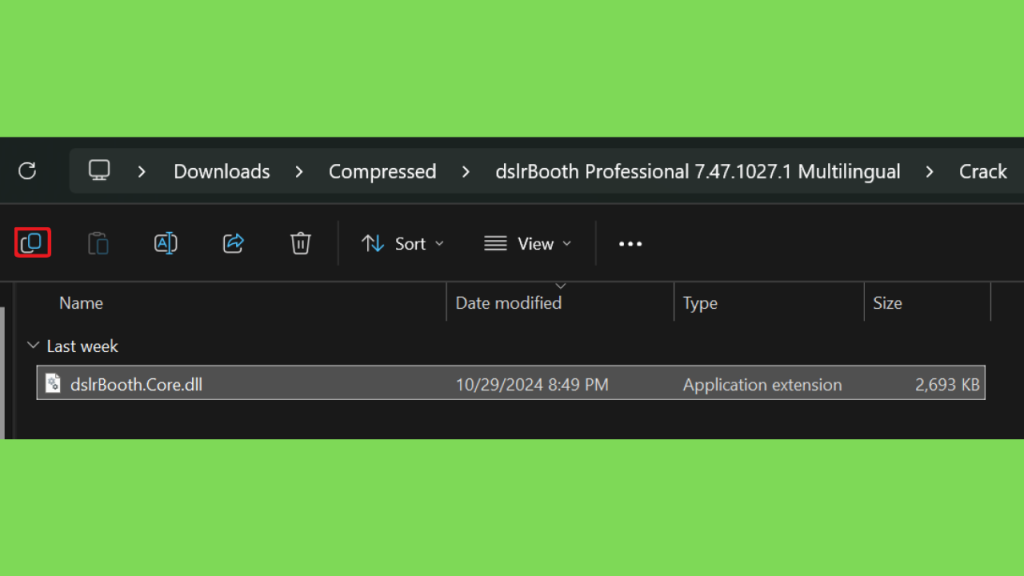 Download dslrBooth Professional Crackeado 64 Bits Gratis PT-BR Full Version PT