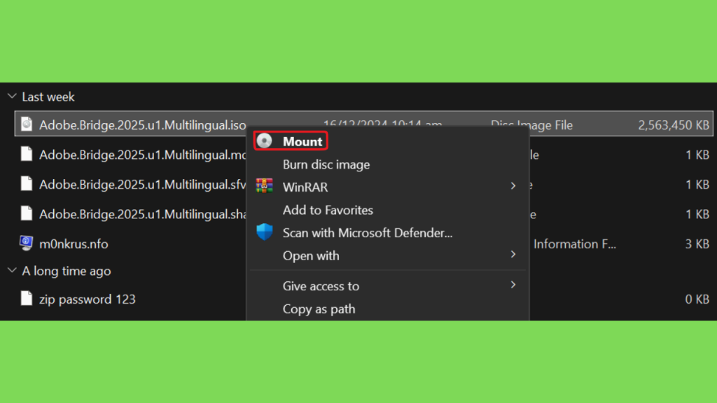Download Adobe Bridge 2025 Crackeado Torrent Gratis PT-BR Full Version PT